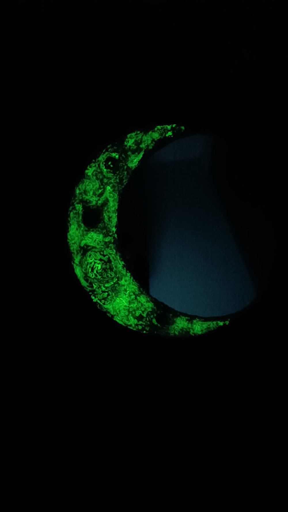 تابلو ماه شبتاب - Image 3