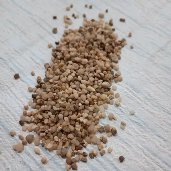 شن خاویاری درشت